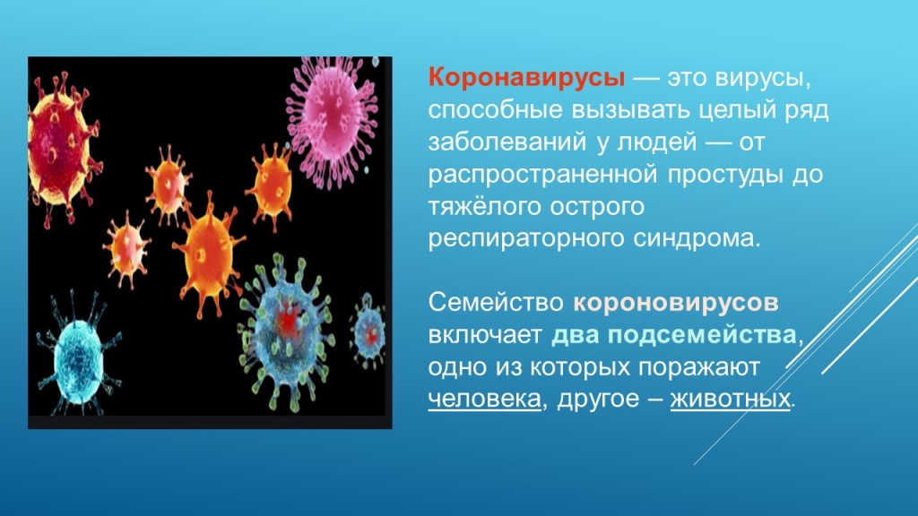 Слайд3.JPG