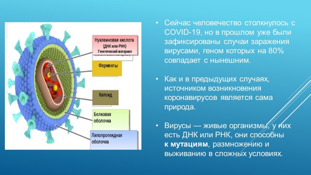 Слайд5.JPG