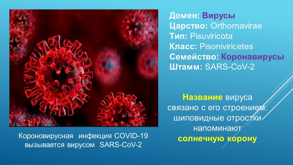 Слайд4.JPG